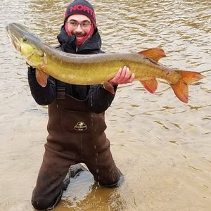 Meet your Posher, Jesse